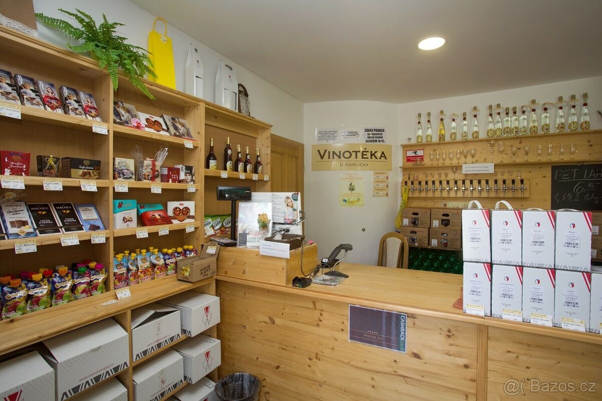 Rodinný dům s obchodními prostory, podnikání, širší centrum - 14