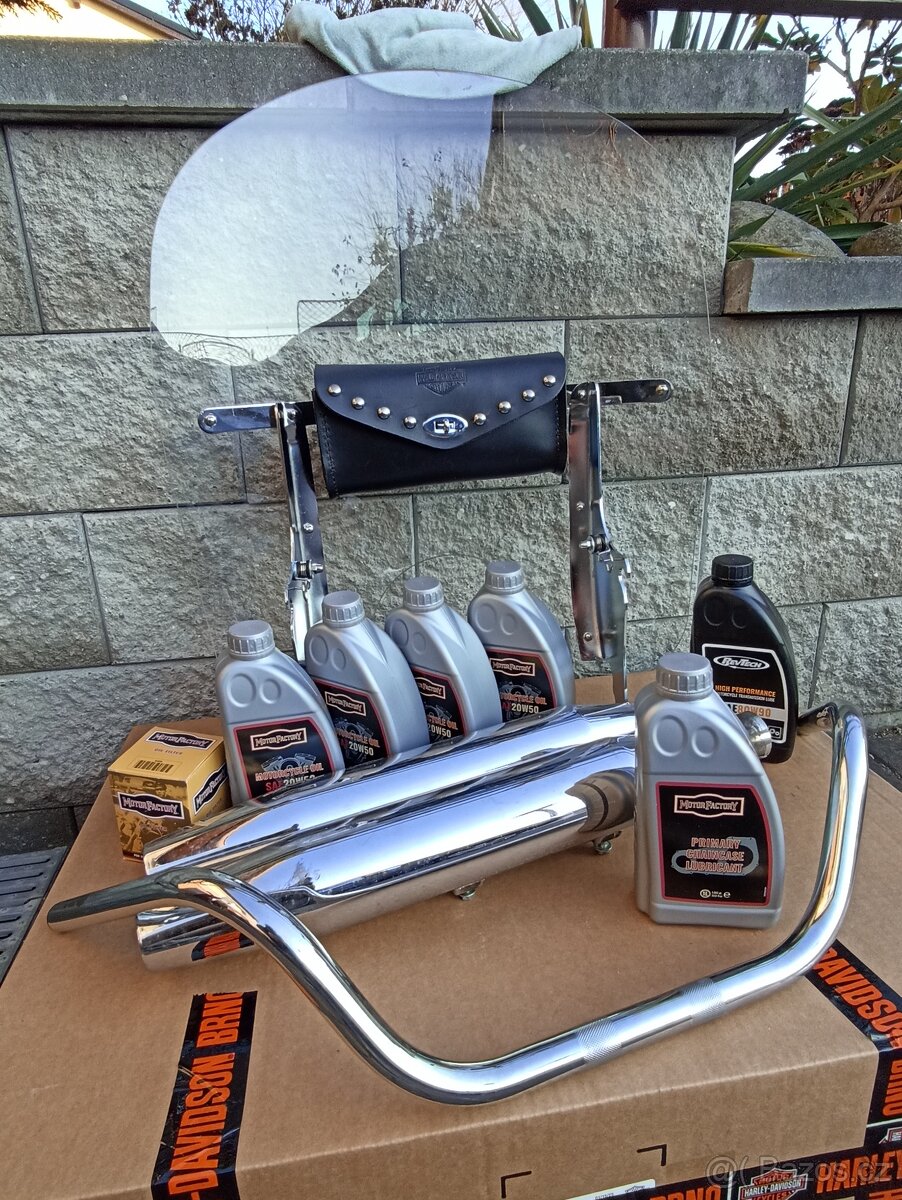 Harley Davidson-Výroční model 100 let - 14