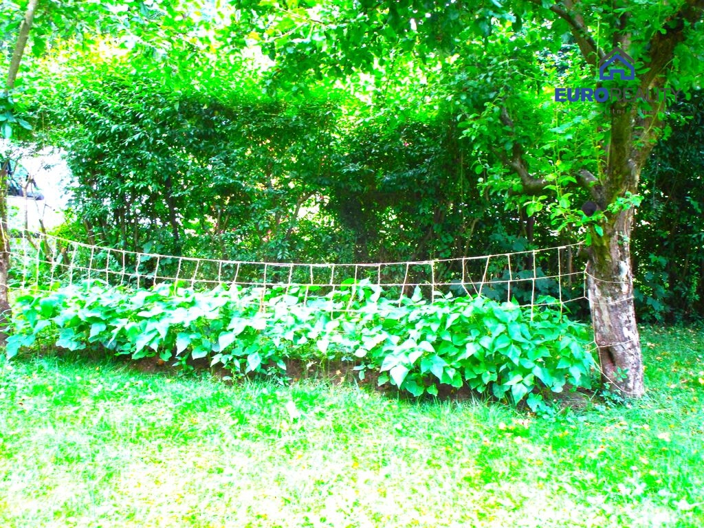 Prodej, zahrada 615 m2 s chatkou, obec Běšiny u Klatov - 14