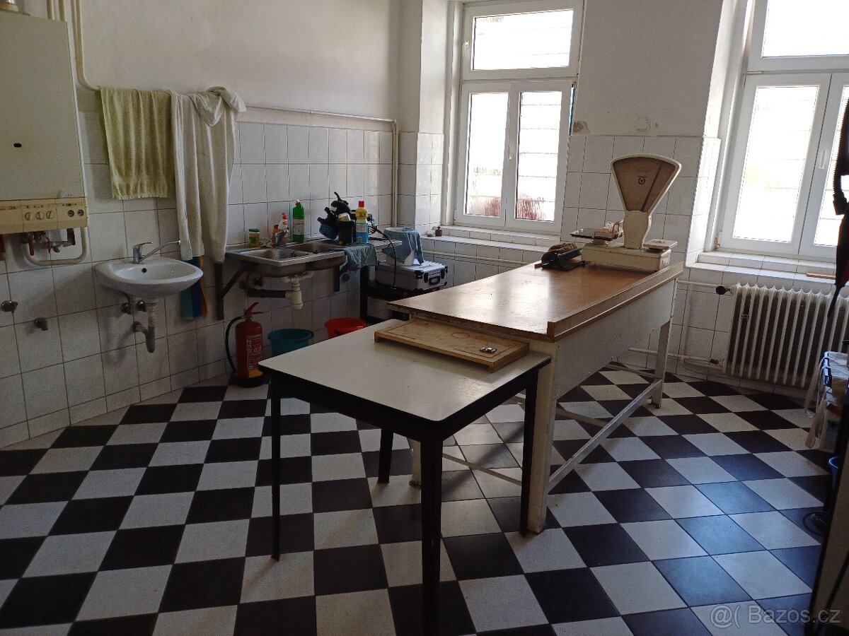 Pronájem nebytového prostoru - 14