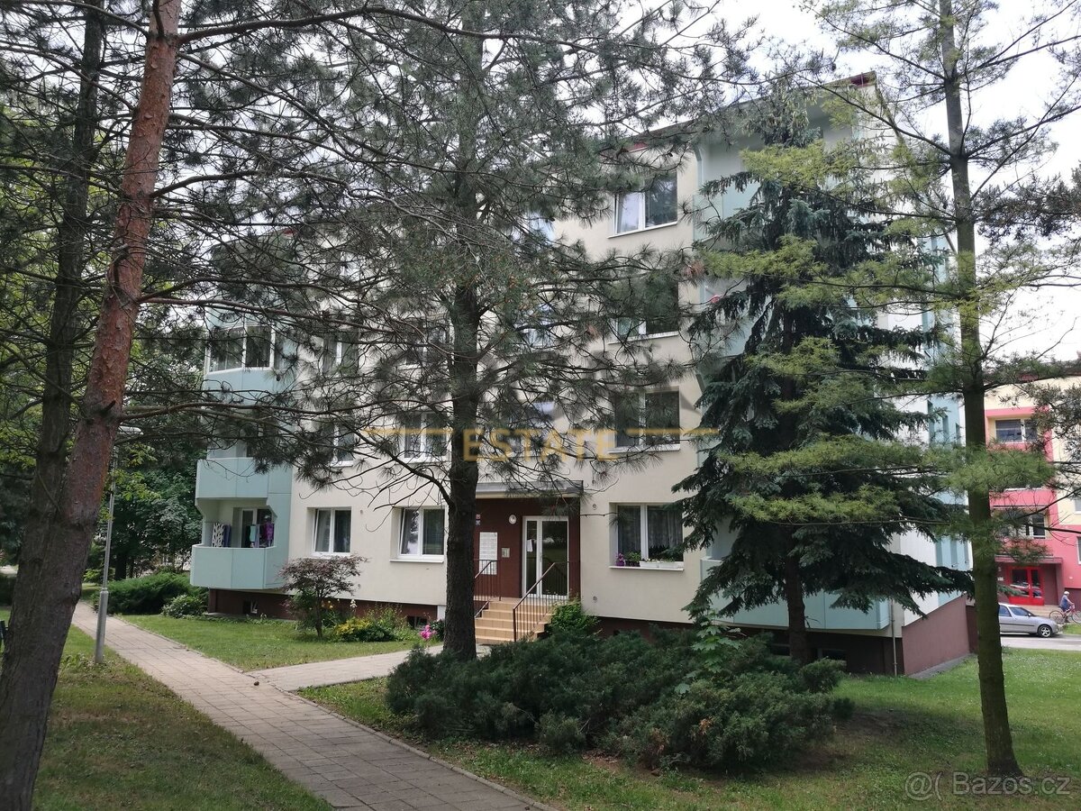 Pronájem byt 1+1 v Kyjově - 14