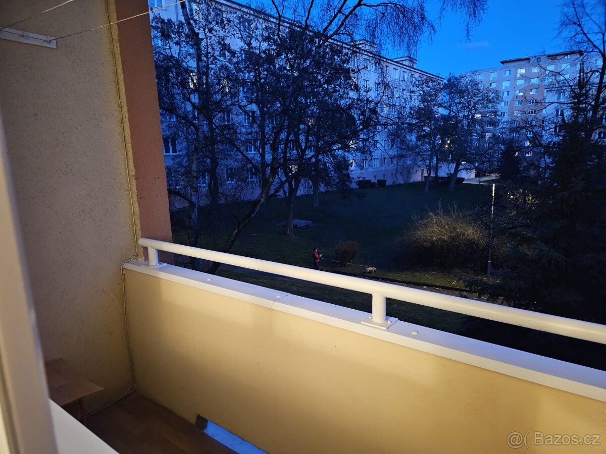 Pronájem bytu 2 + 1 - 14