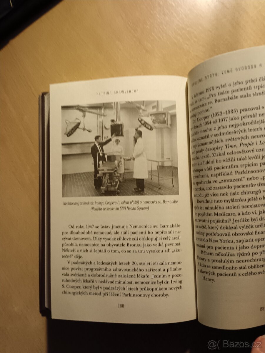 Henry - Katrina Shawverová - 14