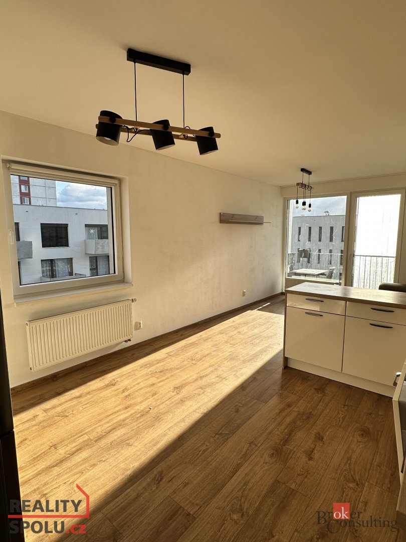 Pronájem, byty/2+kk, 62 m2, Na Chmelnicích 1691/67, 32300 Pl - 14