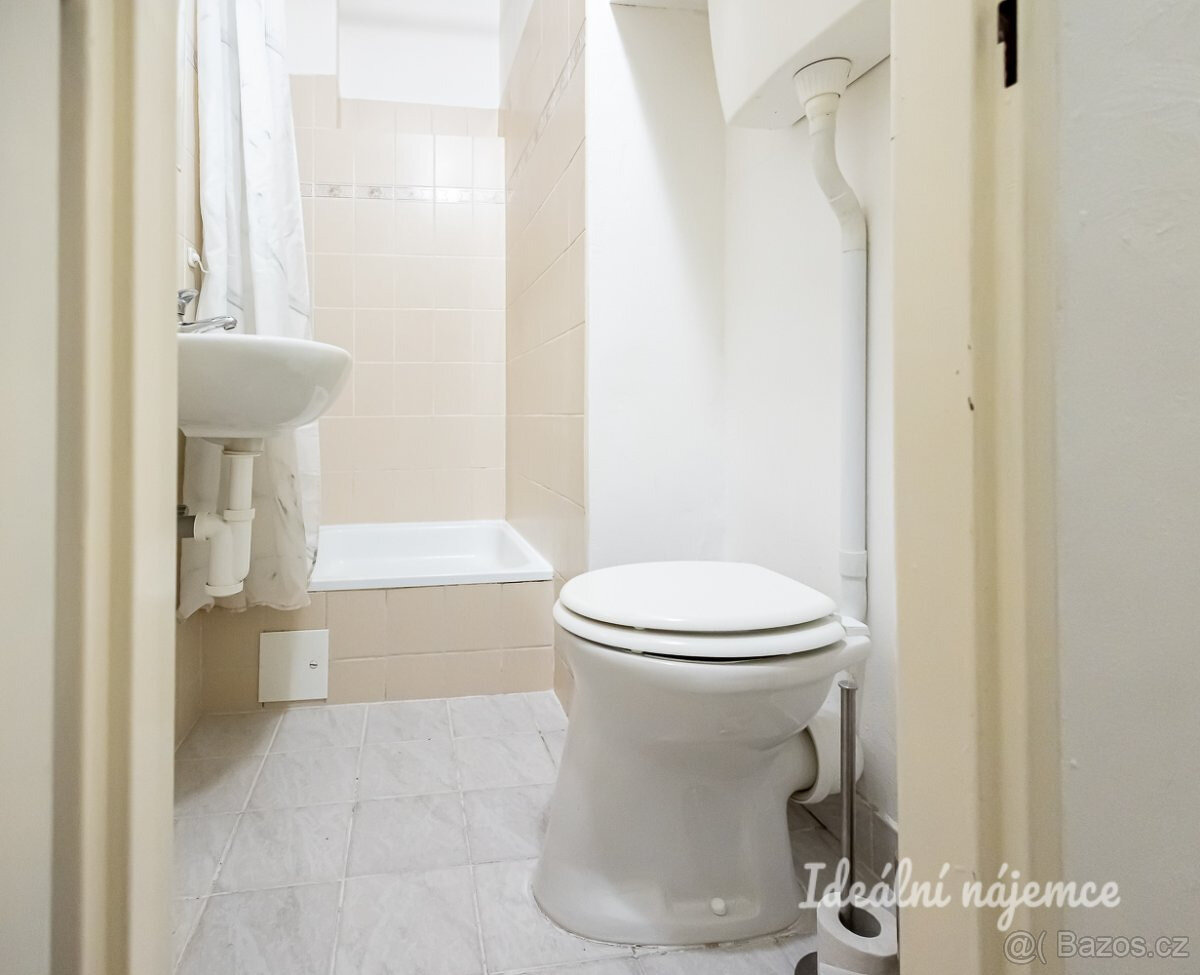 Pronájem bytu 2+1, Víta Nejedlého, Žižkov, 20000 Kč/měs, 43 - 14