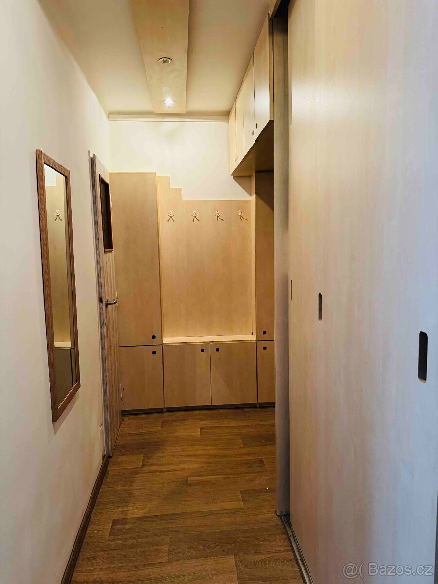 Prodej, byt 2+1, 56m2, ul. Smrková, Plzeň - město - 14