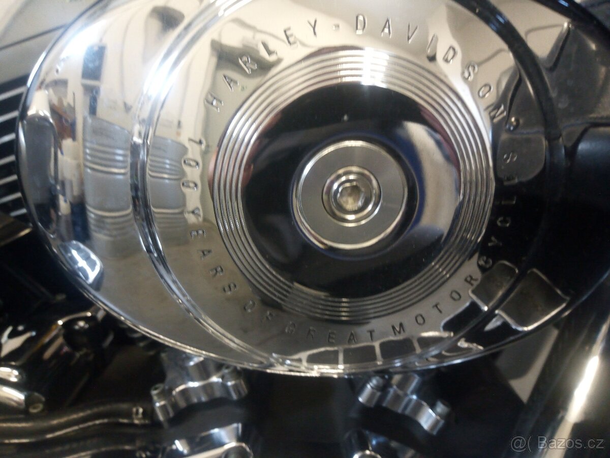 Harley-Davidson Electra Glide Ultra Classic 100th TC 88 - 14