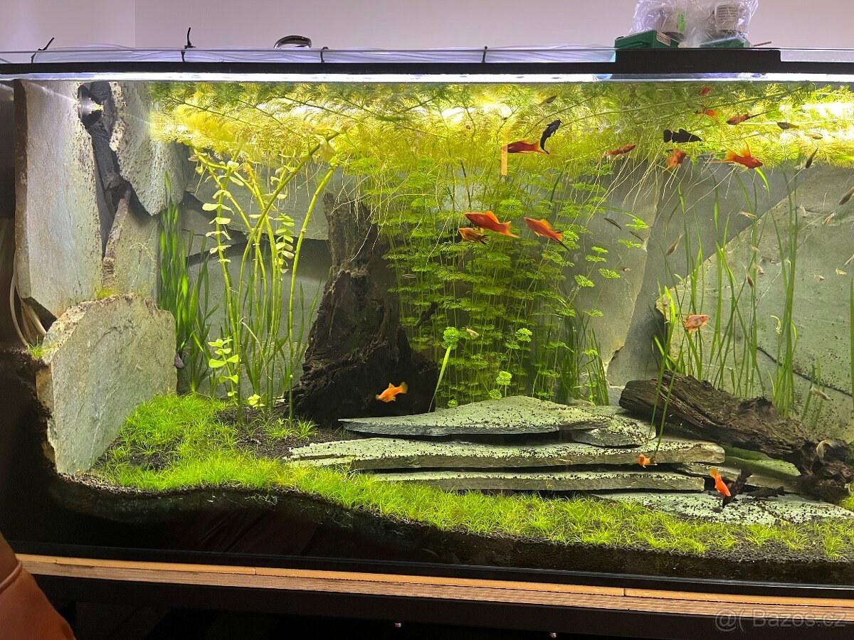 Akvárium cca 900litrů - 14