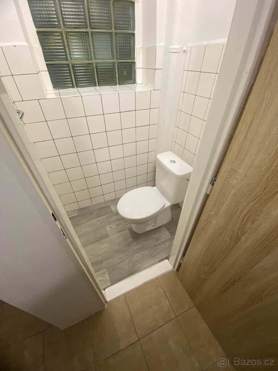 Pronájem bytu 2+KK - Oldřichov u Duchcova - 14