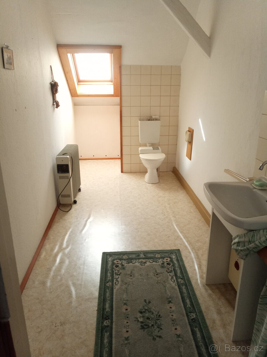 Prodám činžovní dům s obchodem a byty - 14