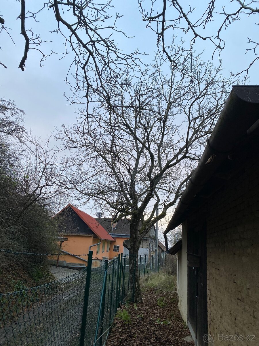 Realizace a údržba zahrad a veřejné zeleně - 14