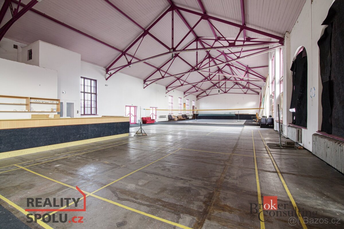 Prodej, domy/památka/jiné, 3090 m2, Mikulášská, Pod Bezručov - 14