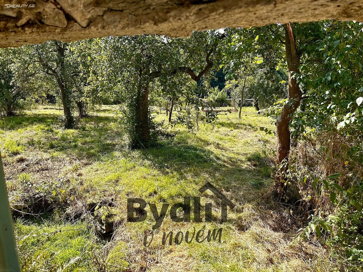 Prodej zemědělské usedlosti 103 m², pozemek 1977 m² Hoštice - 14