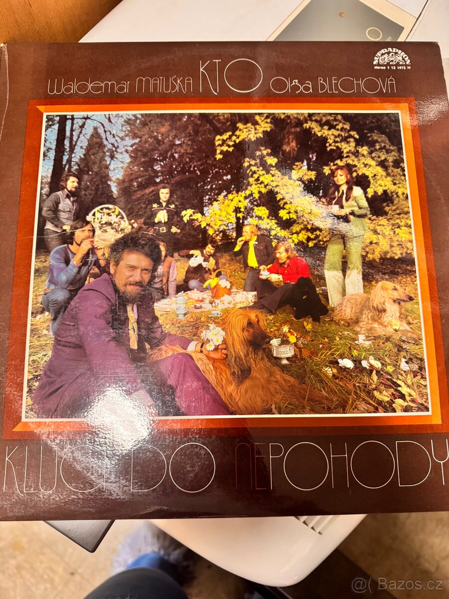 Gramofonové desky - 14