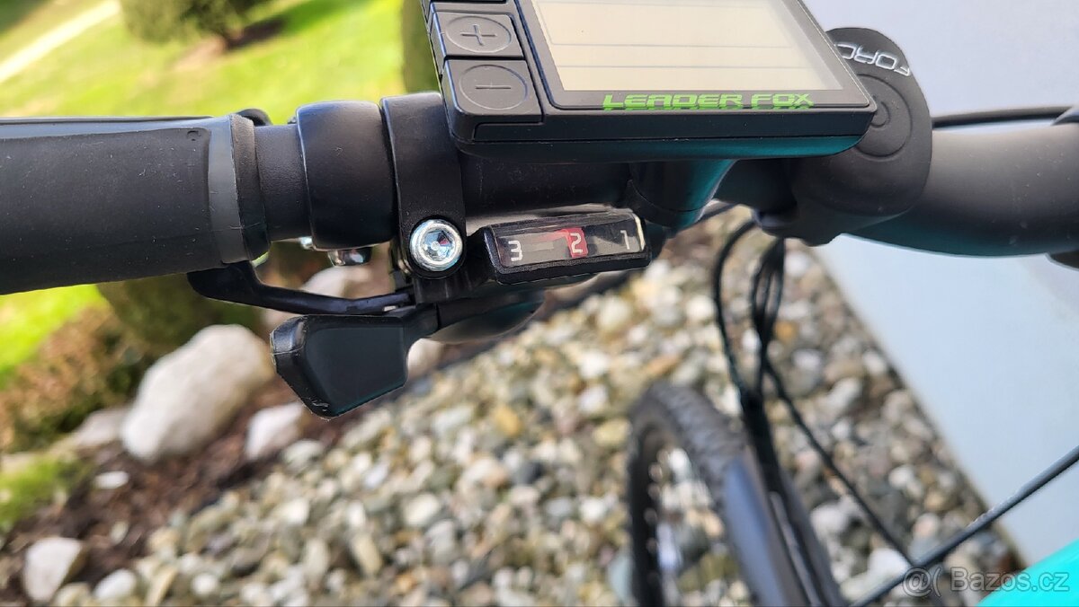 Leader Fox Venosa - 14