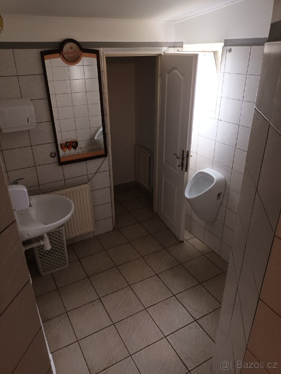 Pronájem nebytového prostoru v Boršově - 14