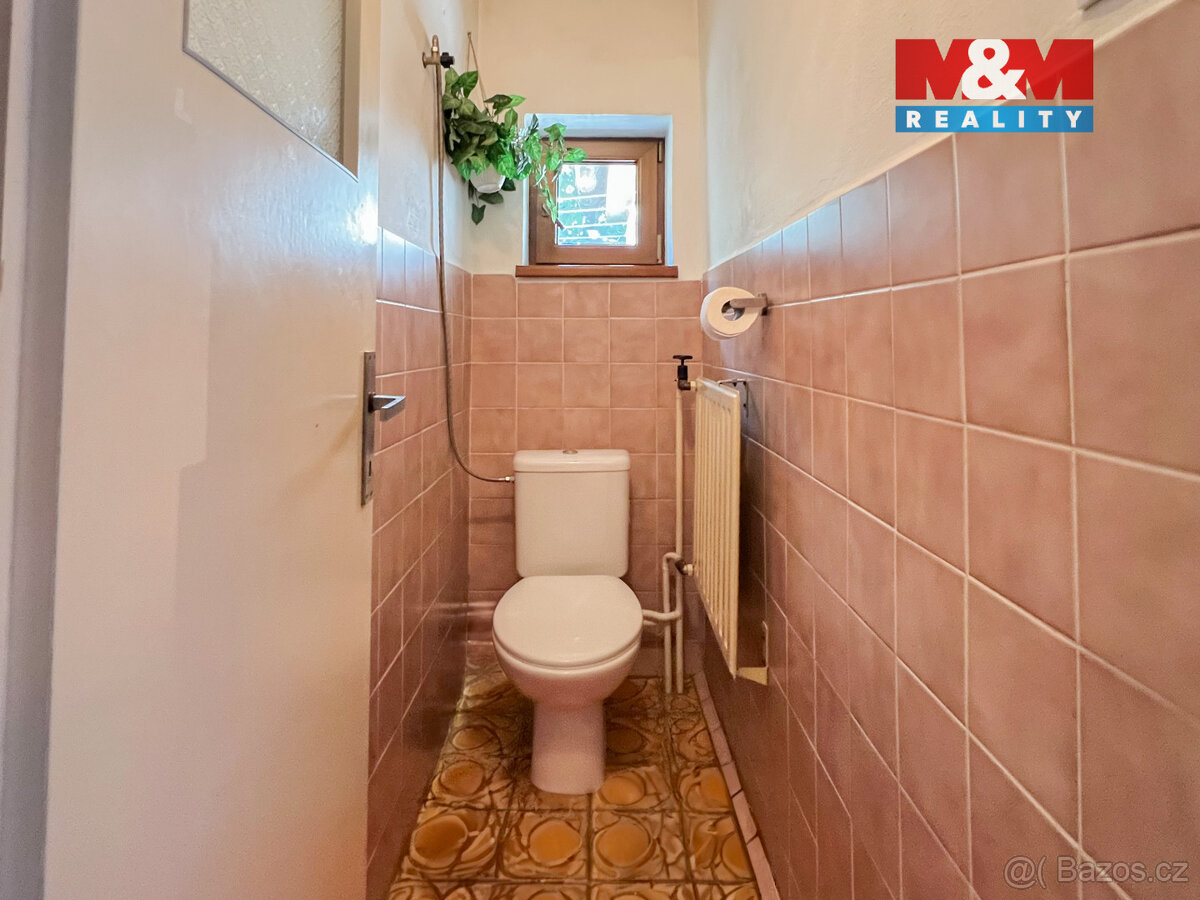 Prodej rodinného domu, 180 m², Mladý Smolivec - 14