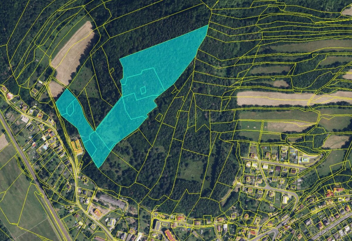 Prodám lesní pozemky v k.ú. Bohutín nad Moravou - 14