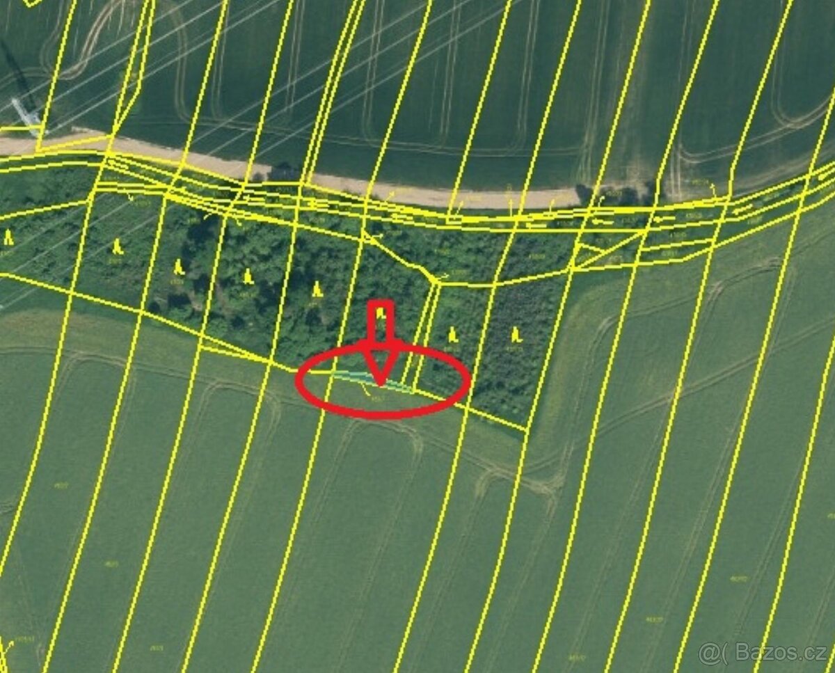 Prodej lesních pozemků v k.ú. Kočín - 14