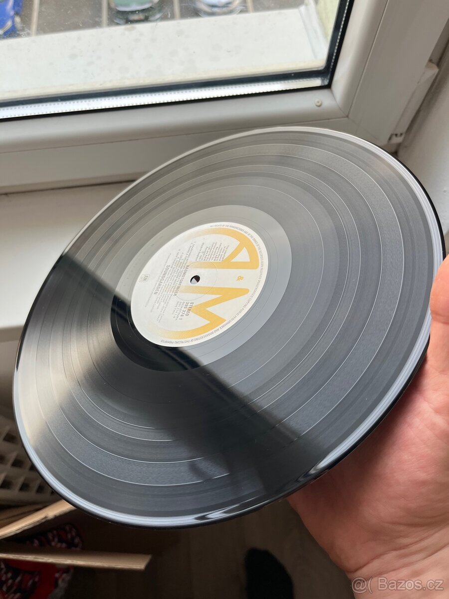 Soundgarden – Badmotorfinger - 14