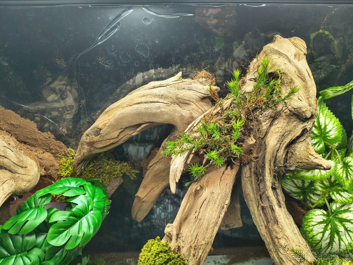 Terárium 60x45x45 - 14