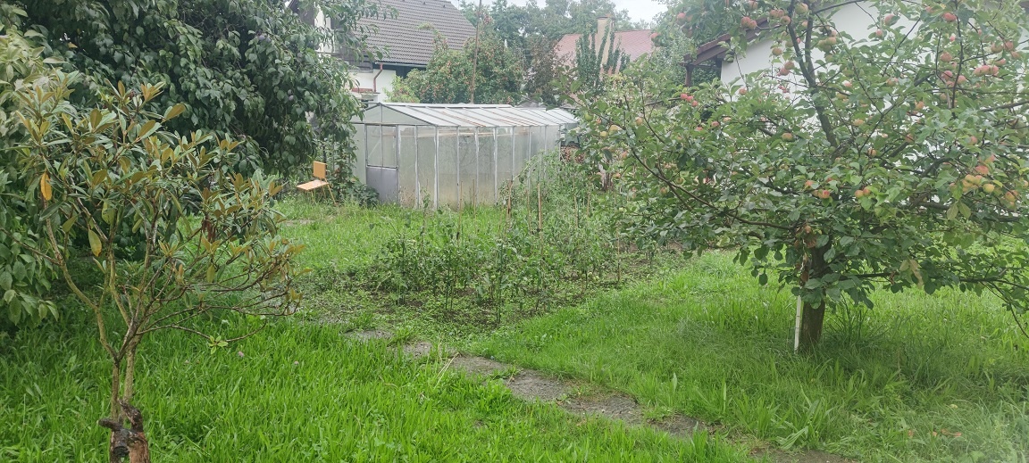 Pronájem bytu v rodinném domě se zahradou Přepeře u Turnova - 14