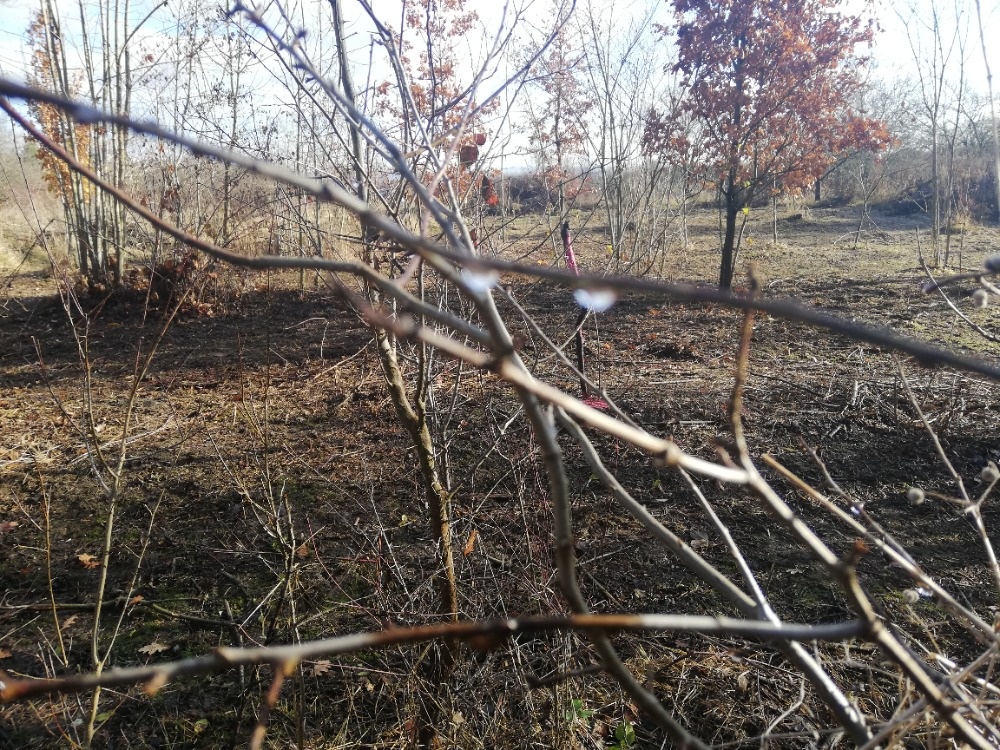 Zahradka u jezera Poděbrady (i s člunem) možnost splátek - 14