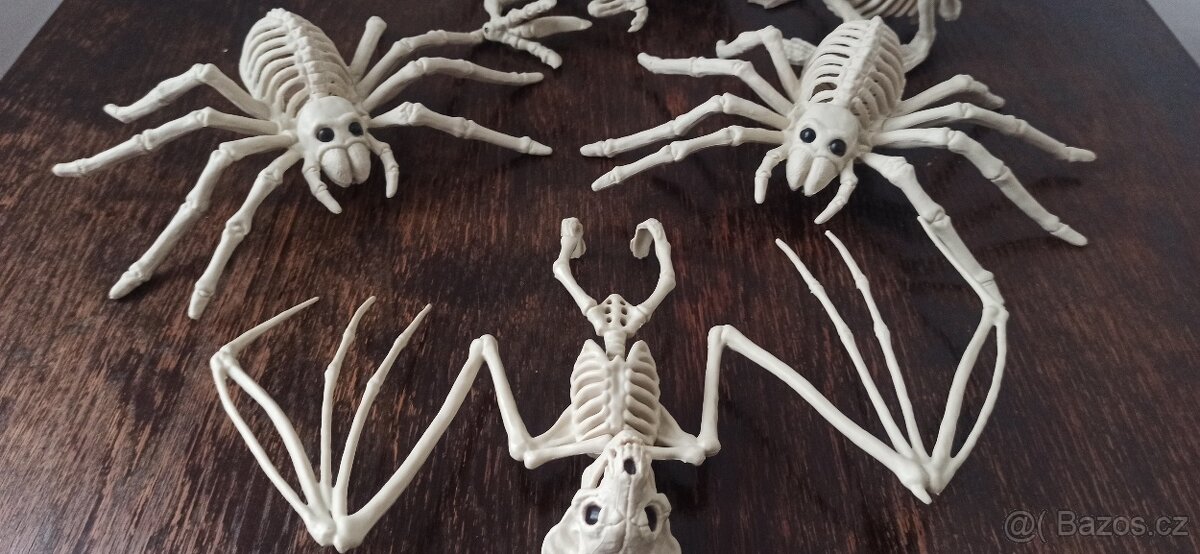 Halloween: Dámský kostým + vybavení - 14