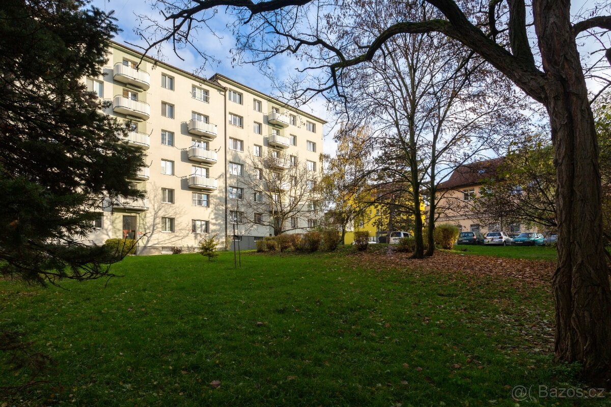 Prodej bytu 2+1, 59 m2, Poděbradská, Praha 9 Hloubětín - 14