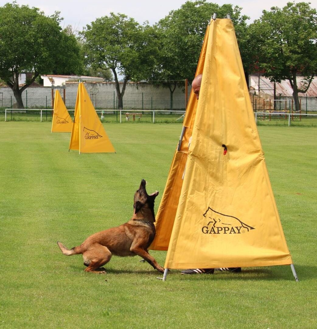 Belgický ovčák malinois s PP - 14