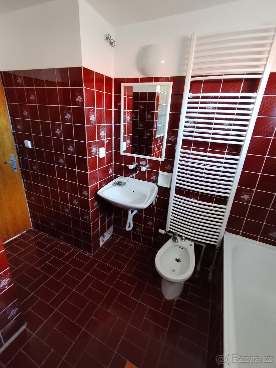 Byt 1+1 (48 m2) s terasou (16 m2) k pronájmu Hříšice u Dačic - 14