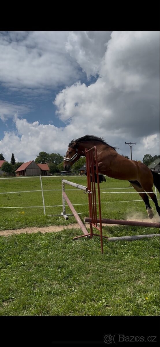 Docházka ,výuka ,pronájem - 14