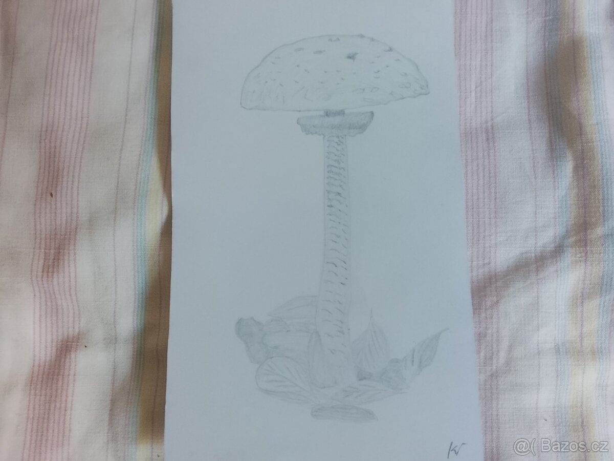 Obrázky obrazy kresby kreslení - 14