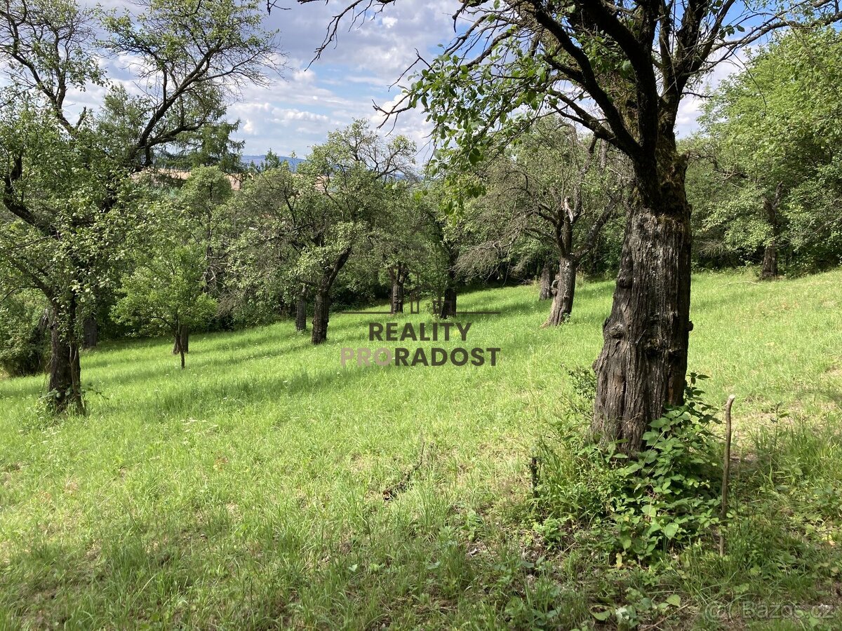 Prodej ovocného sadu 4 253 m2 v Koryčanech - 14
