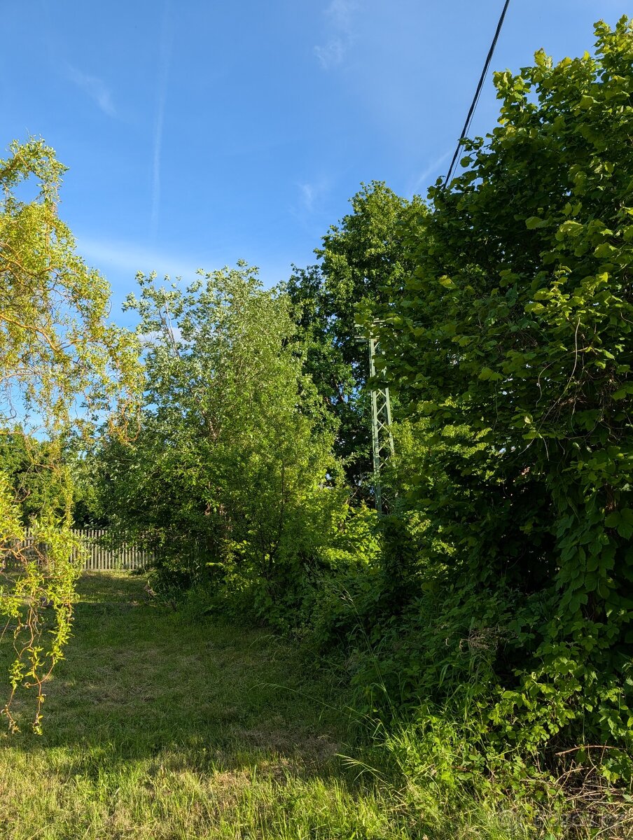 Stavební parcela Jenišovice 1293 m2 - 14