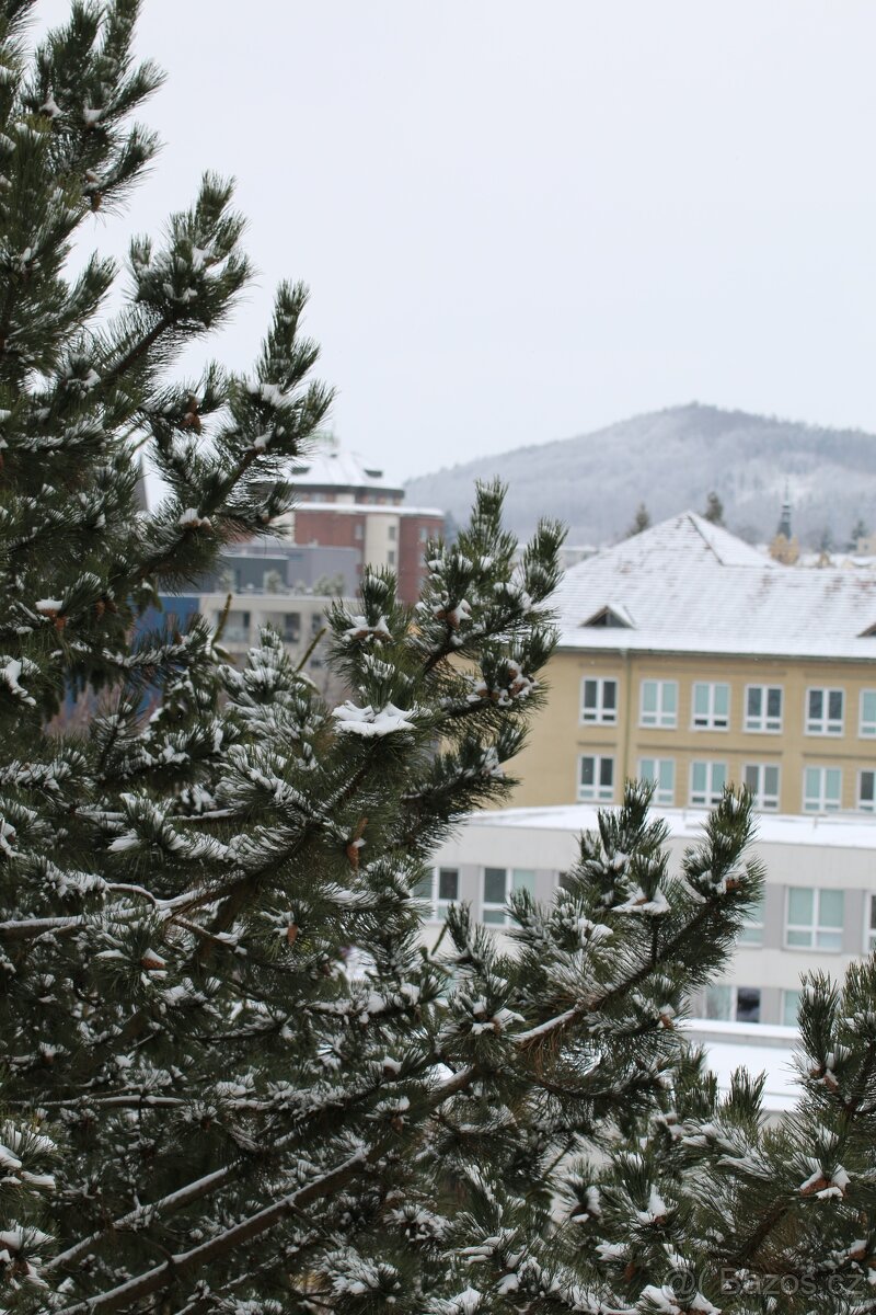 Canon EOS 70D + Tamron 70-300mm VC USD - 14