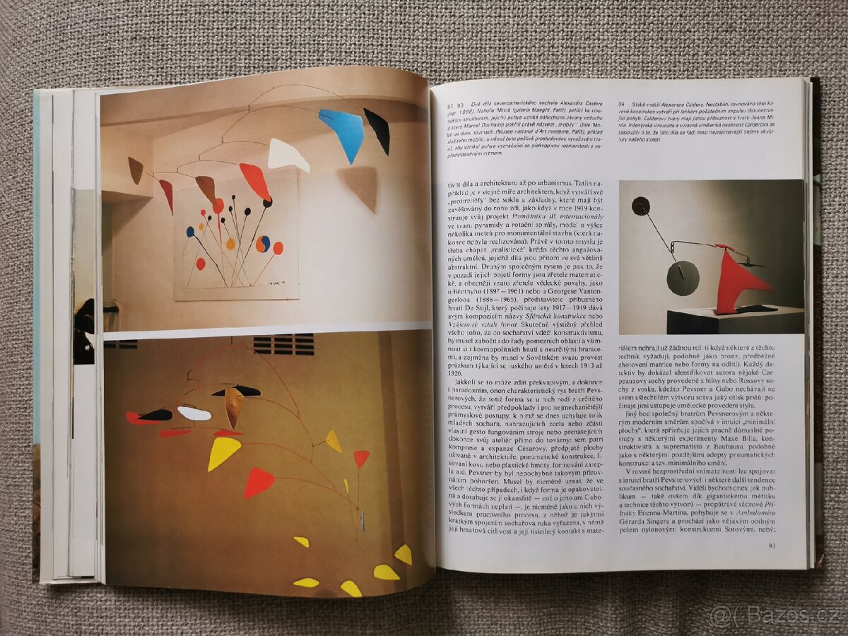 Dějiny umění - 14