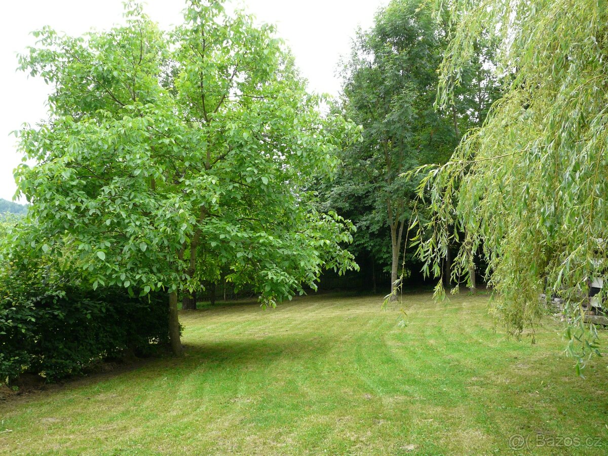 Velký stavební pozemek Oznice - 14