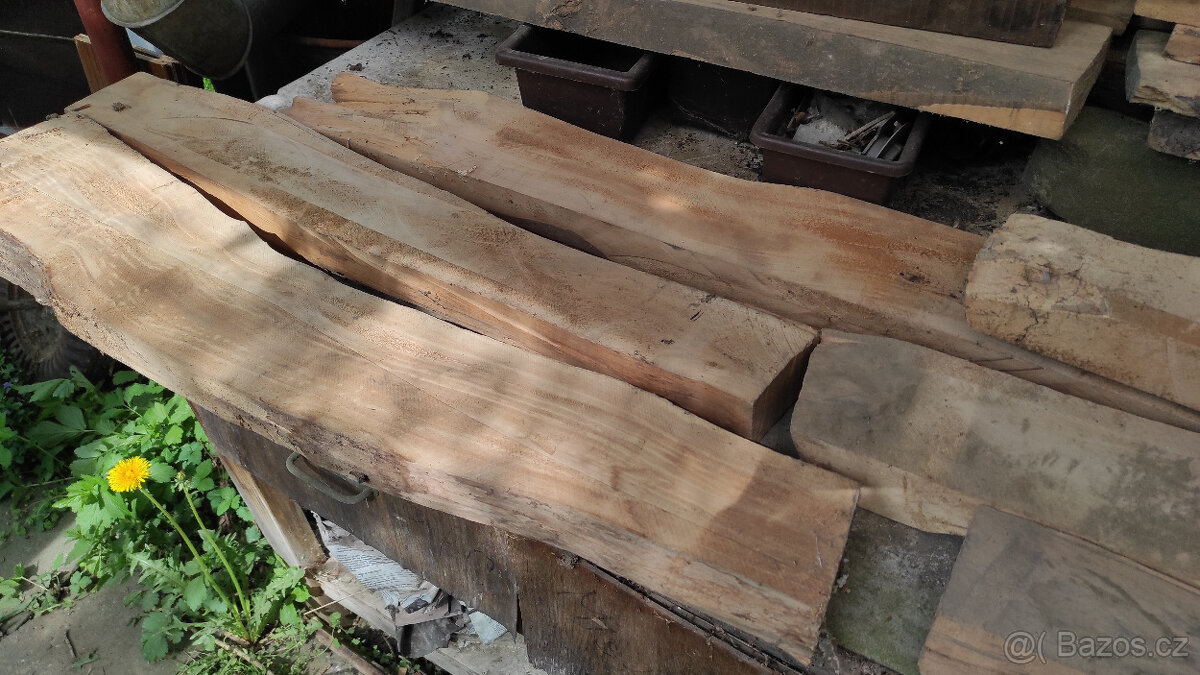 Staré suché listnaté dřevo - 14