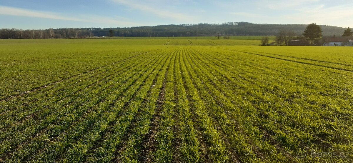 Mzuri secí stroj-strip till (pásové zpracování půdy) - 14