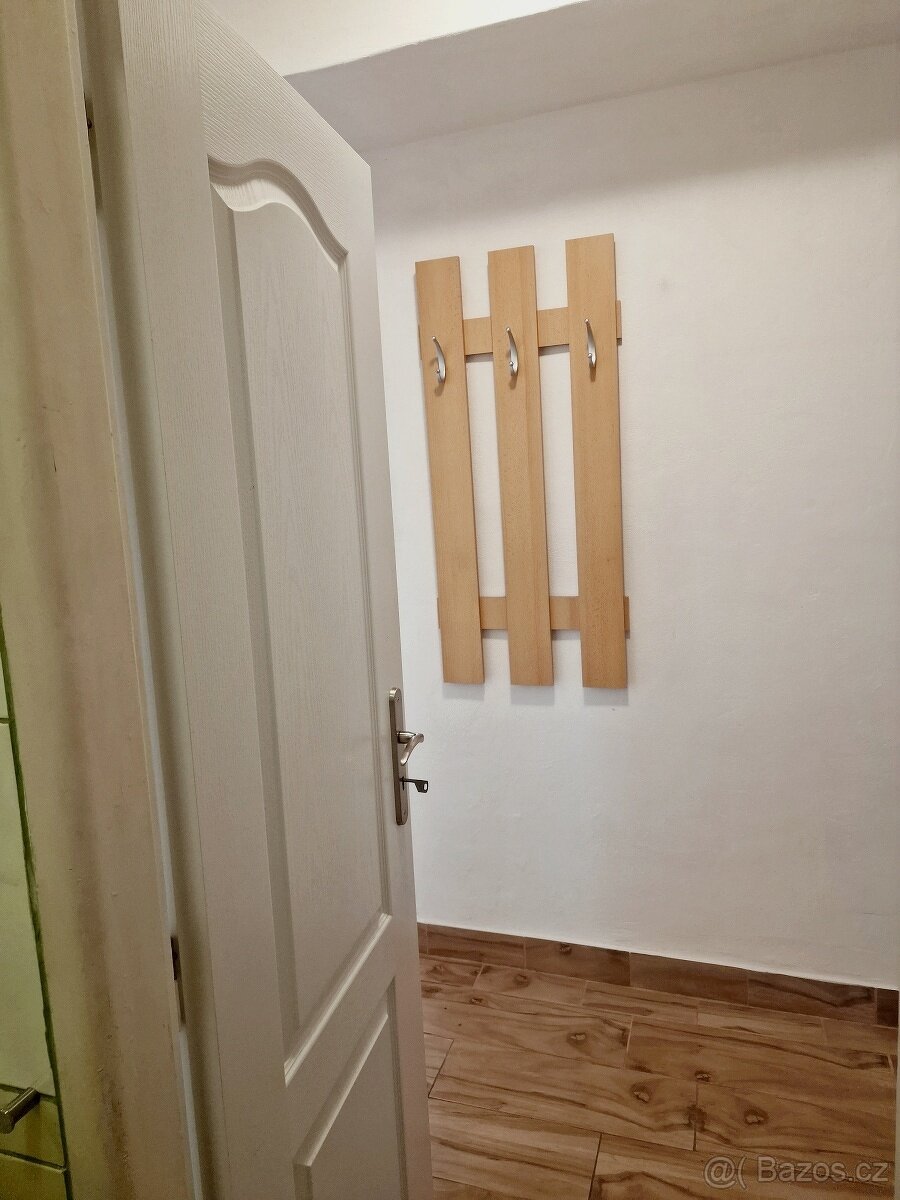 Pronájem 1+1 Ostrava centrum, Jindřichova ulice - 14