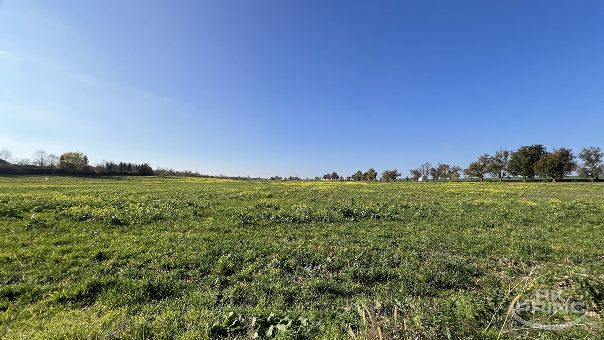 Rodinný dům 230 m2 o dispozici 2x bytová jednotka s garáží n - 14