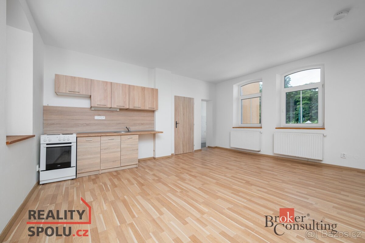 Prodej, komerční/ubytování, 554 m2, Prosečská 5048, Proseč n - 14