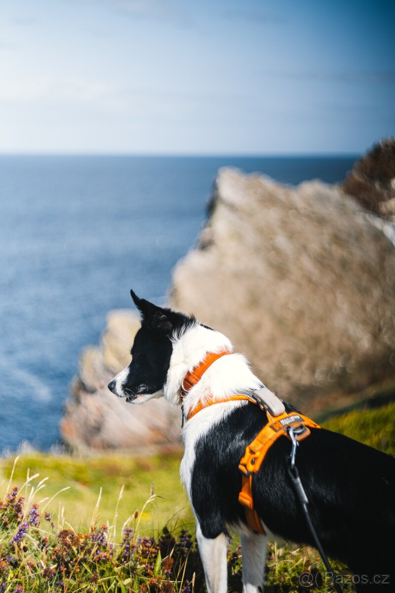 Zenit EM + Helios 58 mm f/2 + redukce na Canon EF - 14