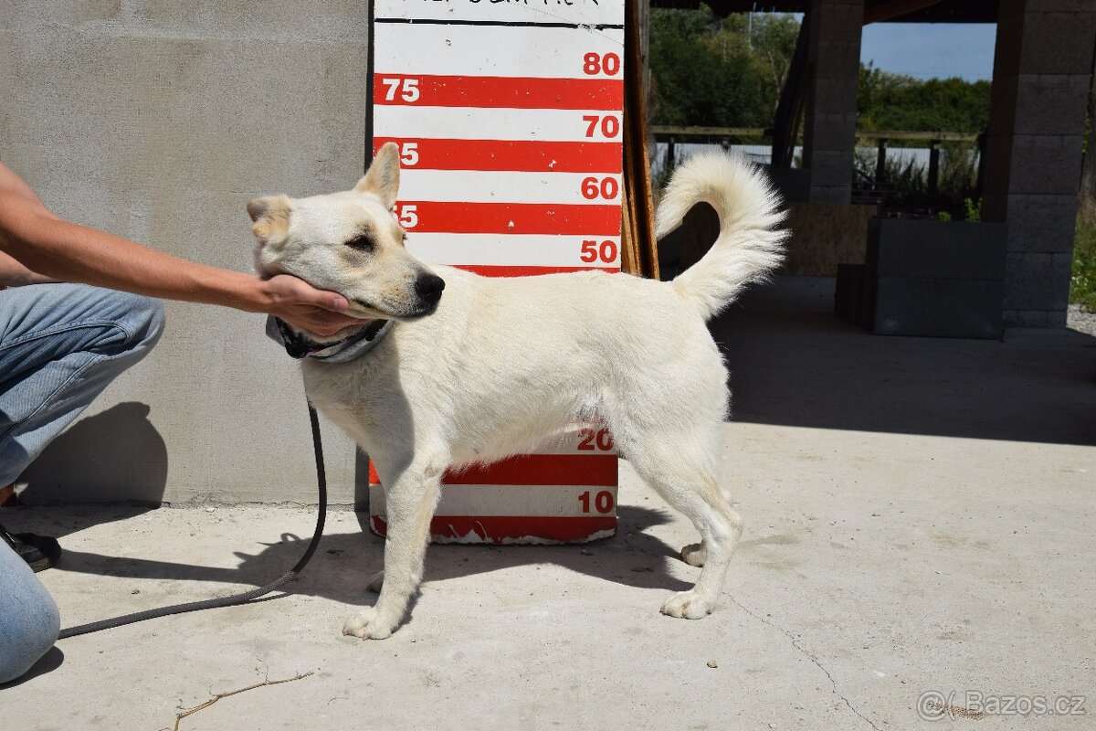 🌸 Zaira – veselá parťačka do života 🌸 - 14