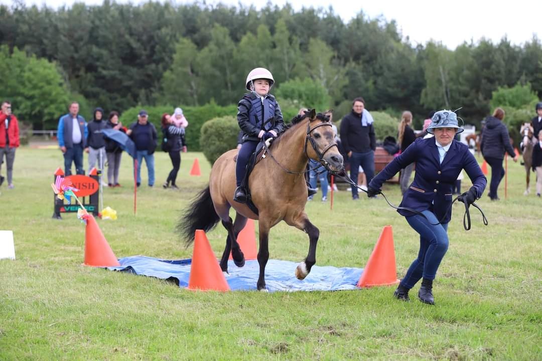 Připouštění Welsh part Bred - 14