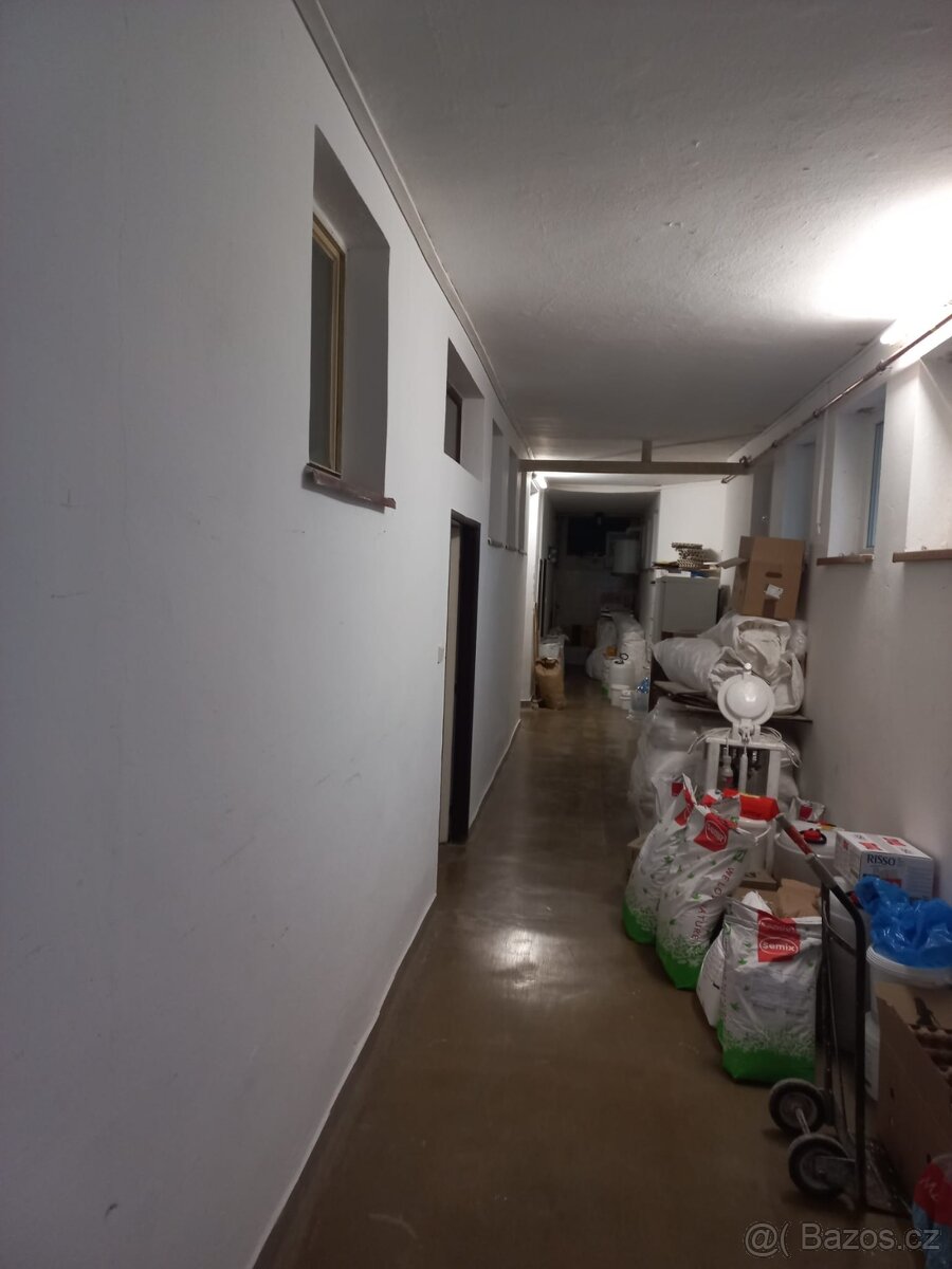 Pronájem prostor pekárny s kompletním vybavením (Svratouch) - 14