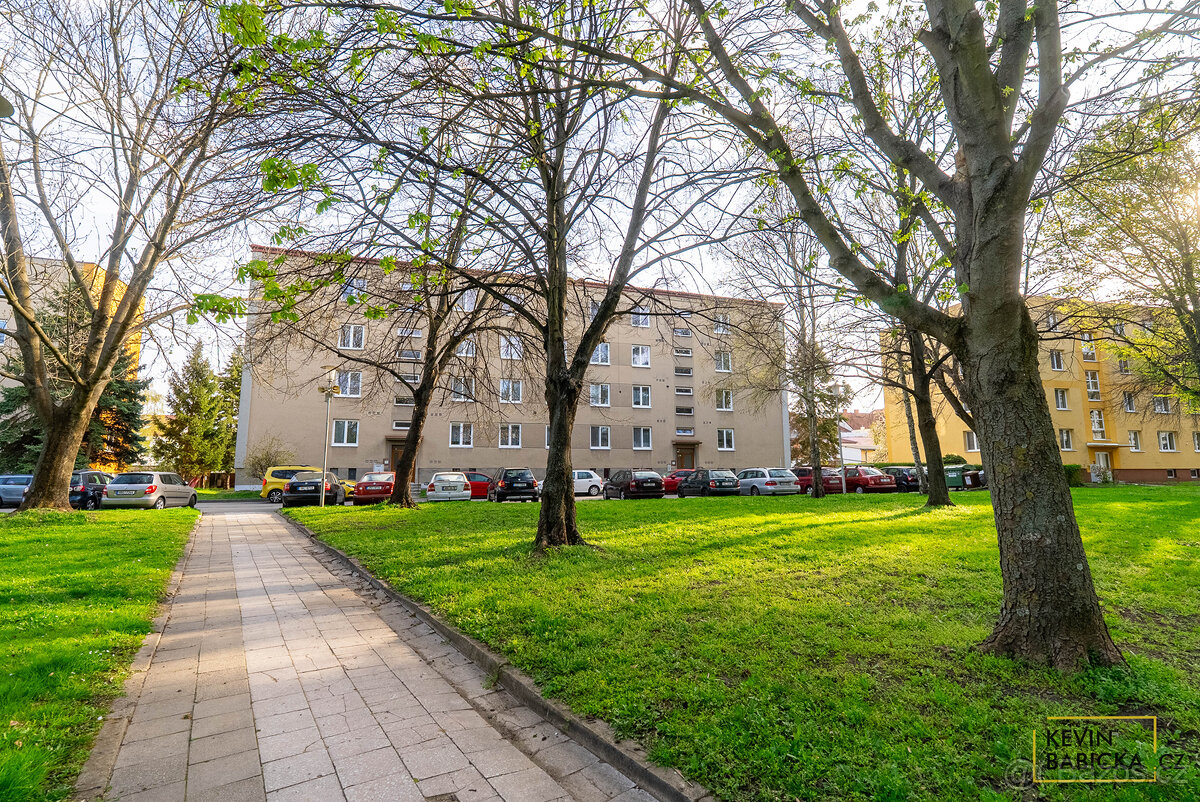 Prodej investičního bytu 2+1 - 14