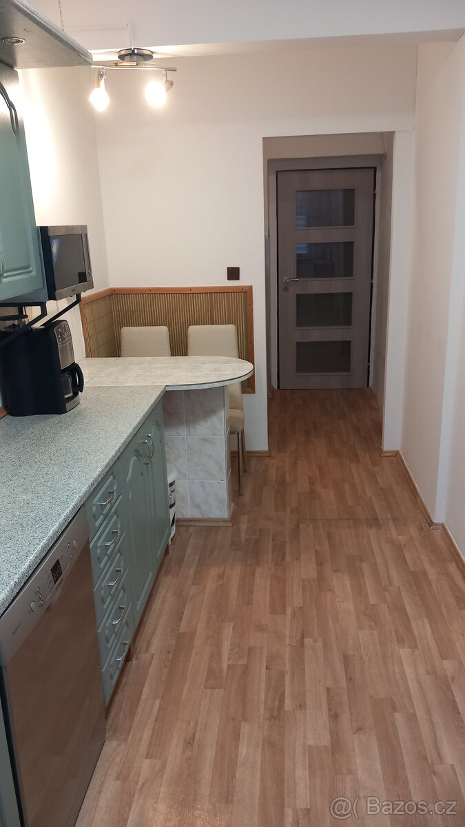 Pronájem bytu 2 + 1 - 14