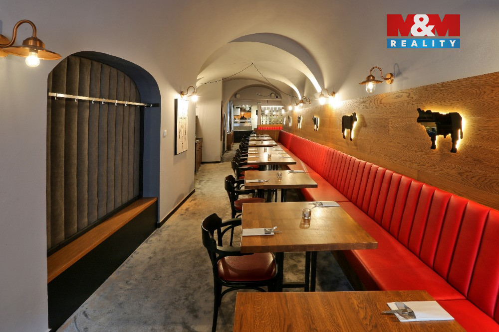 Prodej obchod a služby, 890 m², Olomouc, ul. Riegrova - 14